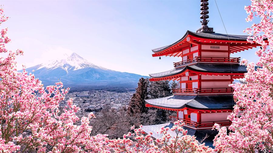 日本河口湖远望富士山